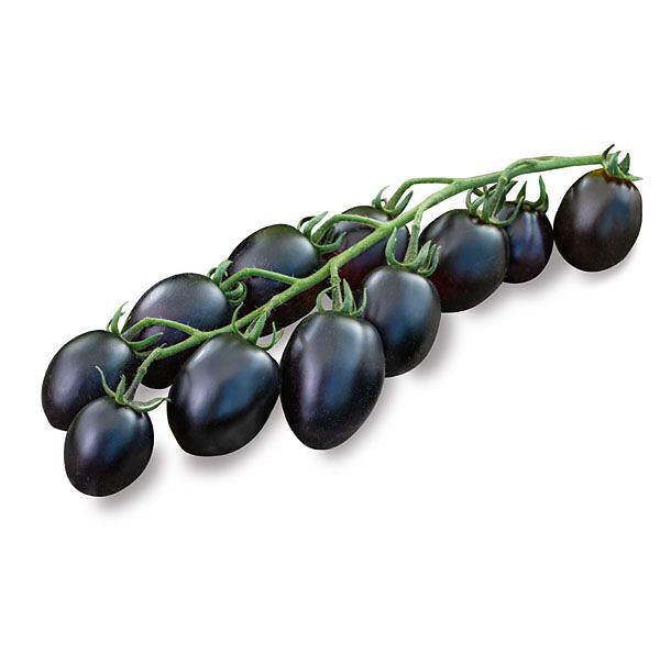 POMODORO DATTERINO MOBY