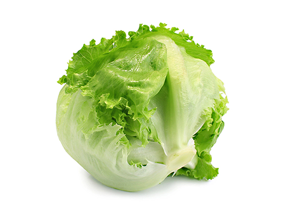 LATTUGA ICEBERG