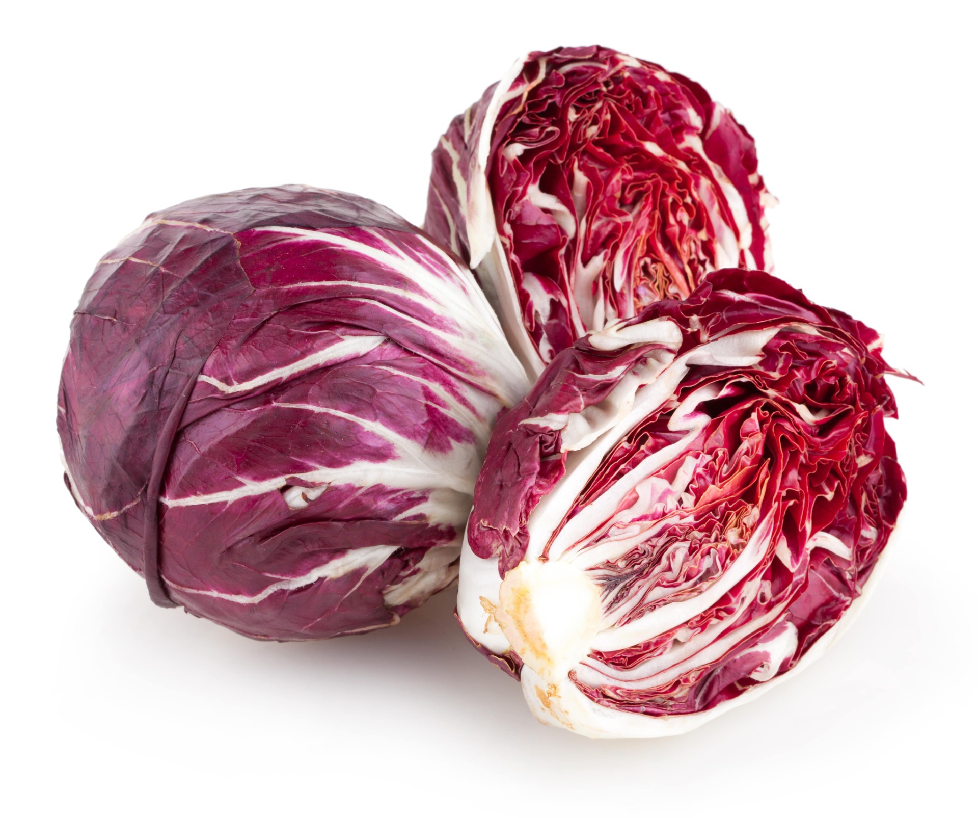 RADICCHIO ROSSO DI CHIOGGIA