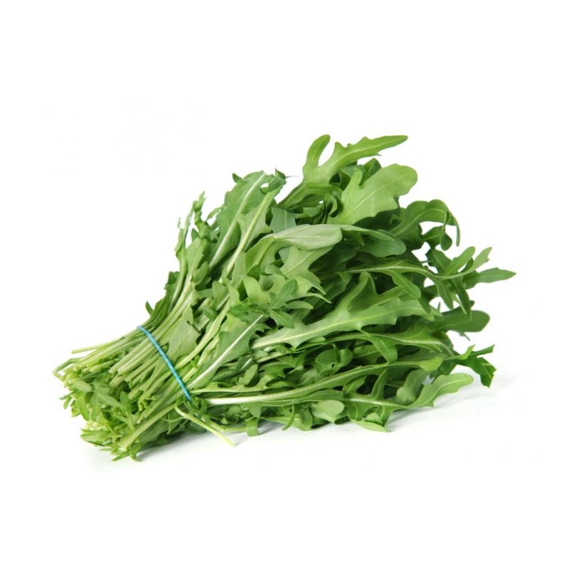 RUCOLA